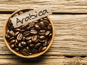 café arabica brasileño exportación